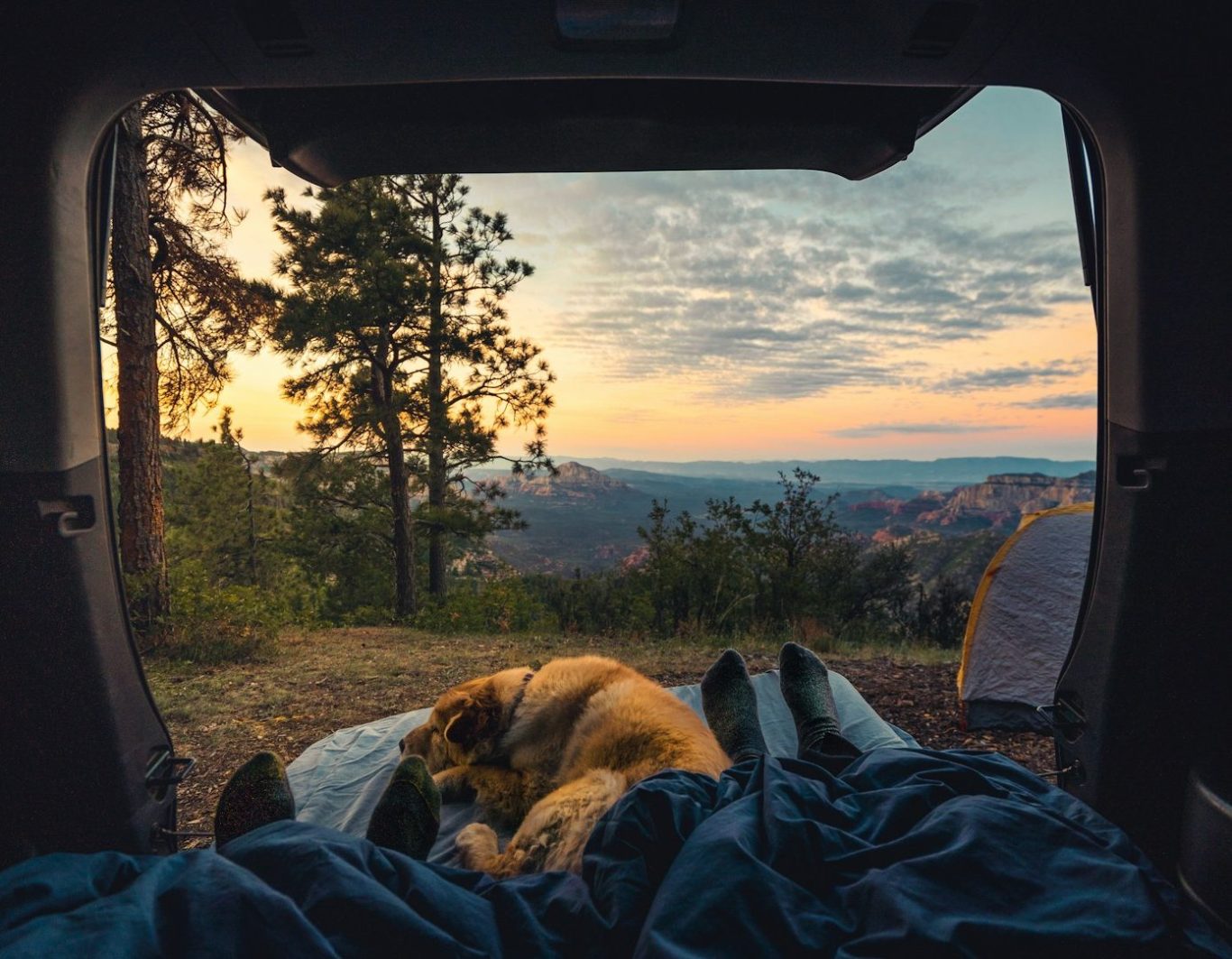 Ausblick eines offenen Campers ins Freie, mit einer Decke und einem braunen Hund
